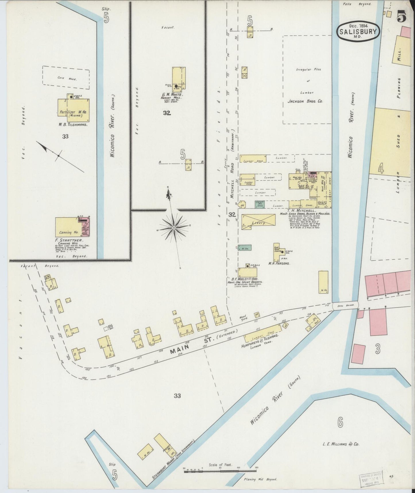 Sanborn Fire Insurance Map from Salisbury, Wicomico County, Maryland (1894), Sheet #0005 - Historic Sanborn Fire Insurance Map Print, vintage old map wall art
