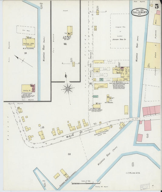 Sanborn Fire Insurance Map from Salisbury, Wicomico County, Maryland (1894), Sheet #0005 - Historic Sanborn Fire Insurance Map Print, vintage old map wall art