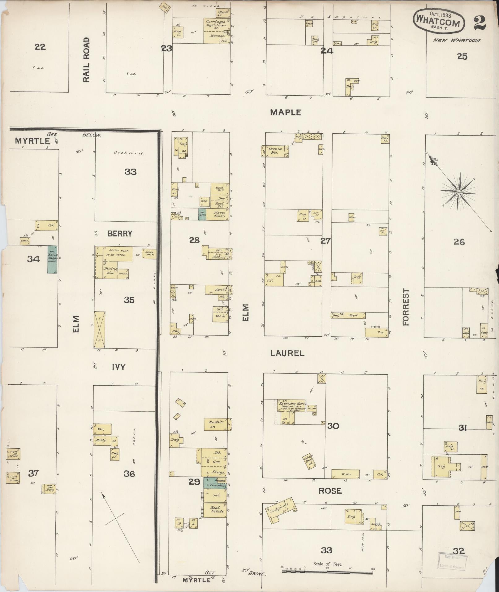Sanborn Fire Insurance Map from Whatcom, Whatcom County, Washington (1888), Sheet #0003 - Historic Sanborn Fire Insurance Map Print, vintage old map wall art, antique decor, genealogy gift, Washington Washington map