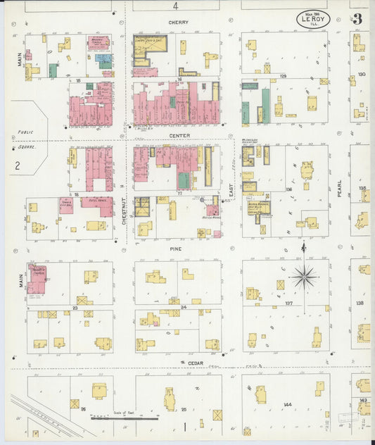 Sanborn Fire Insurance Map from Leroy, McLean County, Illinois (1906), Sheet #0003 - Historic Sanborn Fire Insurance Map Print, vintage old map wall art, antique decor, genealogy gift, Illinois Illinois map