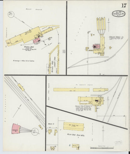 Sanborn Fire Insurance Map from Cadillac, Wexford County, Michigan (1895), Sheet #0017 - Historic Sanborn Fire Insurance Map Print, vintage old map wall art, antique decor, genealogy gift, Michigan Michigan map