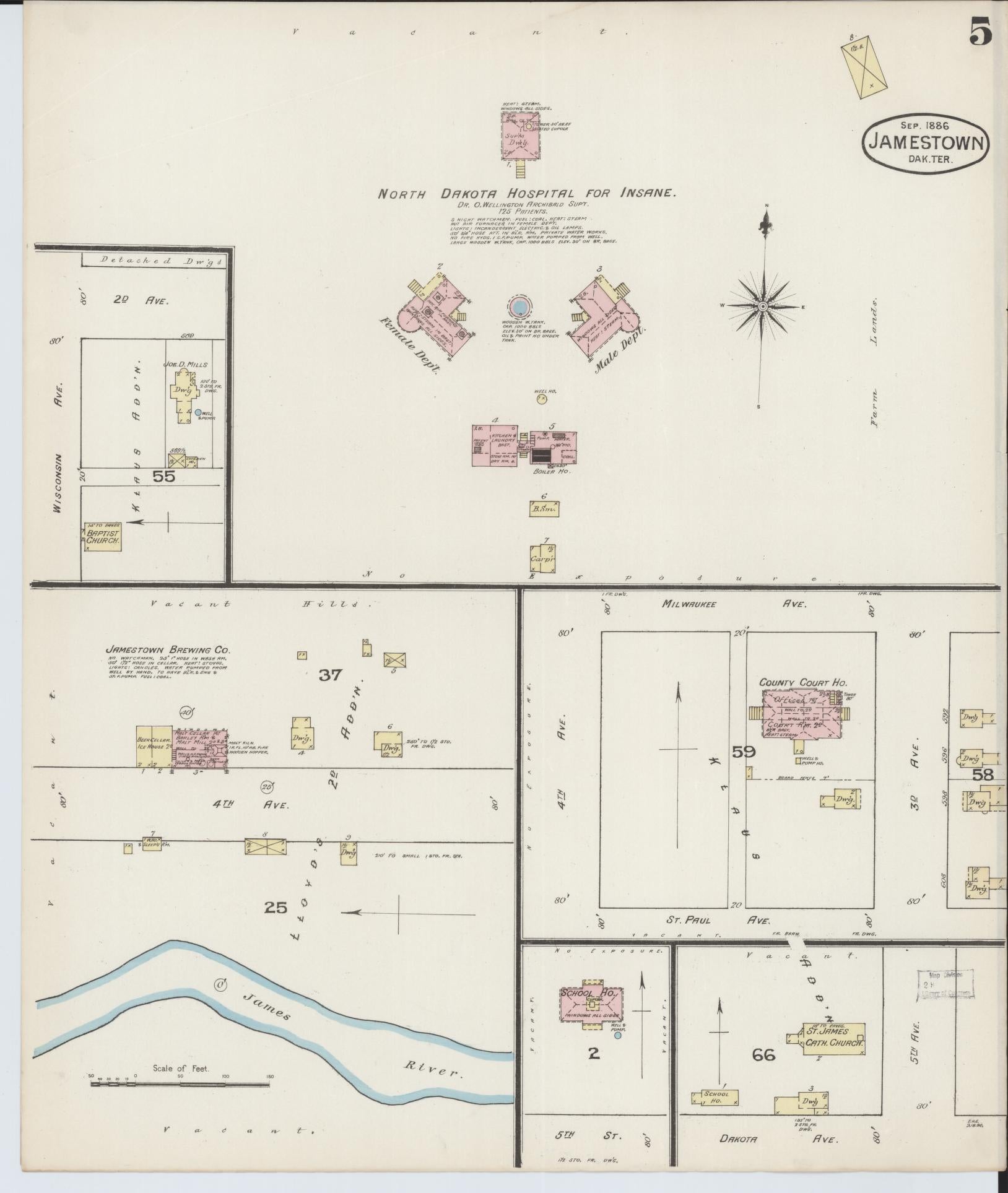 Sanborn Fire Insurance Map from Jamestown, Stutsman County, North Dakota (1886), Sheet #0005 - Historic Sanborn Fire Insurance Map Print, vintage old map wall art, antique decor, genealogy gift, North Dakota North Dakota map