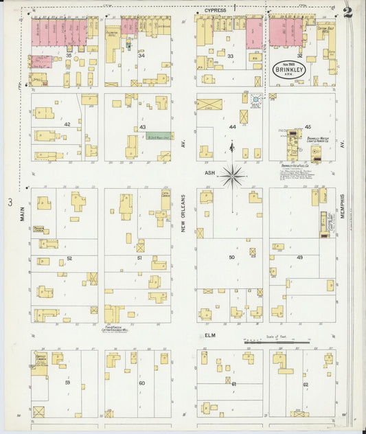 Sanborn Fire Insurance Map from Brinkley, Monroe County, Arkansas (1900), Sheet #0002 - Historic Sanborn Fire Insurance Map Print, vintage old map wall art, antique decor, genealogy gift, Arkansas Arkansas map