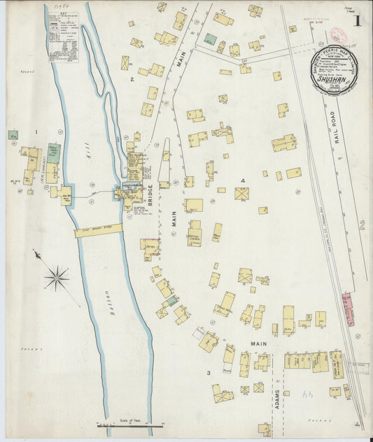Sanborn Fire Insurance Map from Shushan, Washington County, New York (1895), Sheet #0001 - Historic Sanborn Fire Insurance Map Print, vintage old map wall art, antique decor, genealogy gift, New York New York map