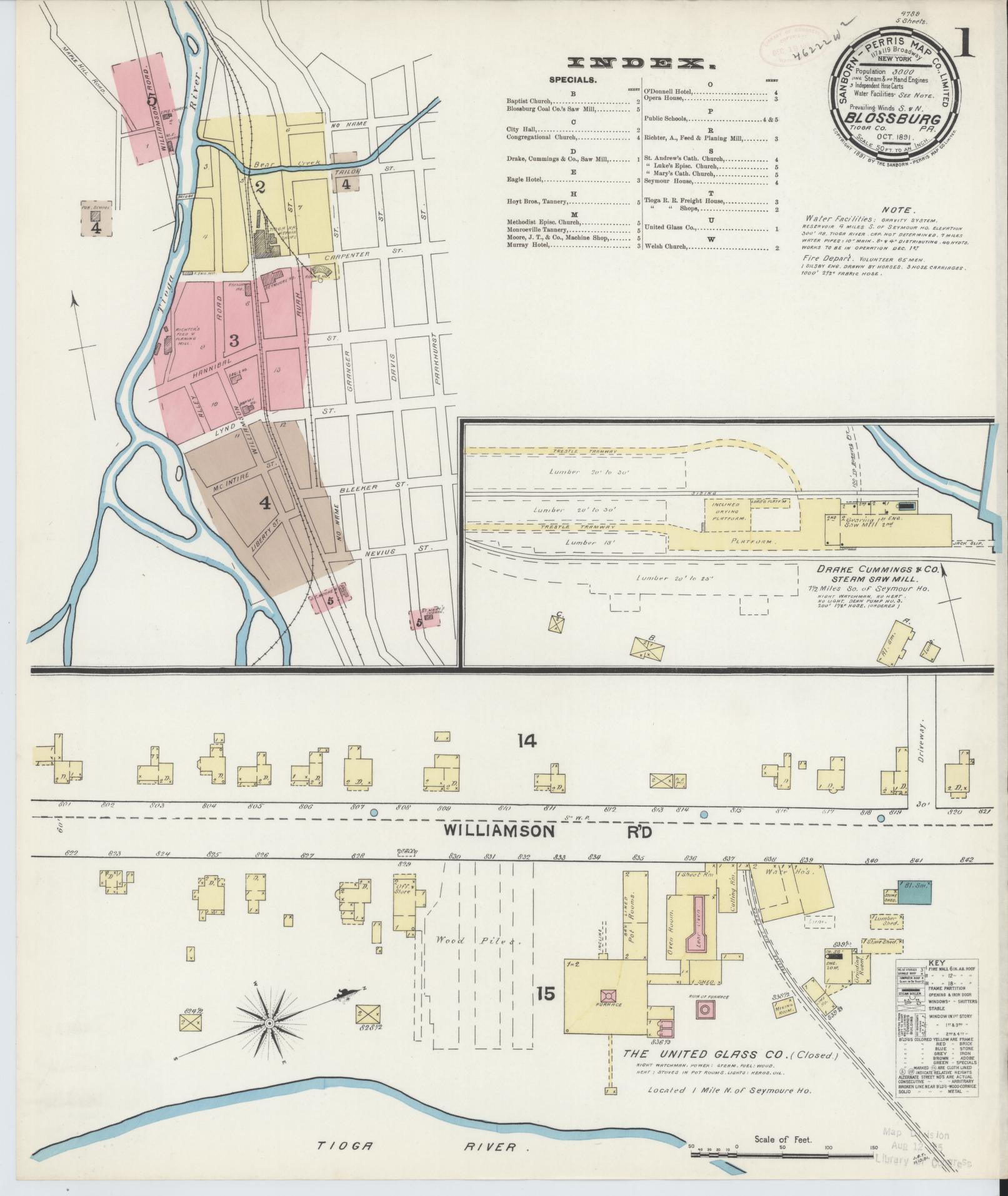 Sanborn Fire Insurance Map from Blossburg, Tioga County, Pennsylvania (1891), Sheet #0001 - Historic Sanborn Fire Insurance Map Print, vintage old map wall art, antique decor, genealogy gift, Pennsylvania Pennsylvania map