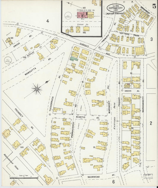 Sanborn Fire Insurance Map from Cottage City, Dukes County, Massachusetts (1898), Sheet #0005 - Historic Sanborn Fire Insurance Map Print, vintage old map wall art, antique decor, genealogy gift, Massachusetts Massachusetts map