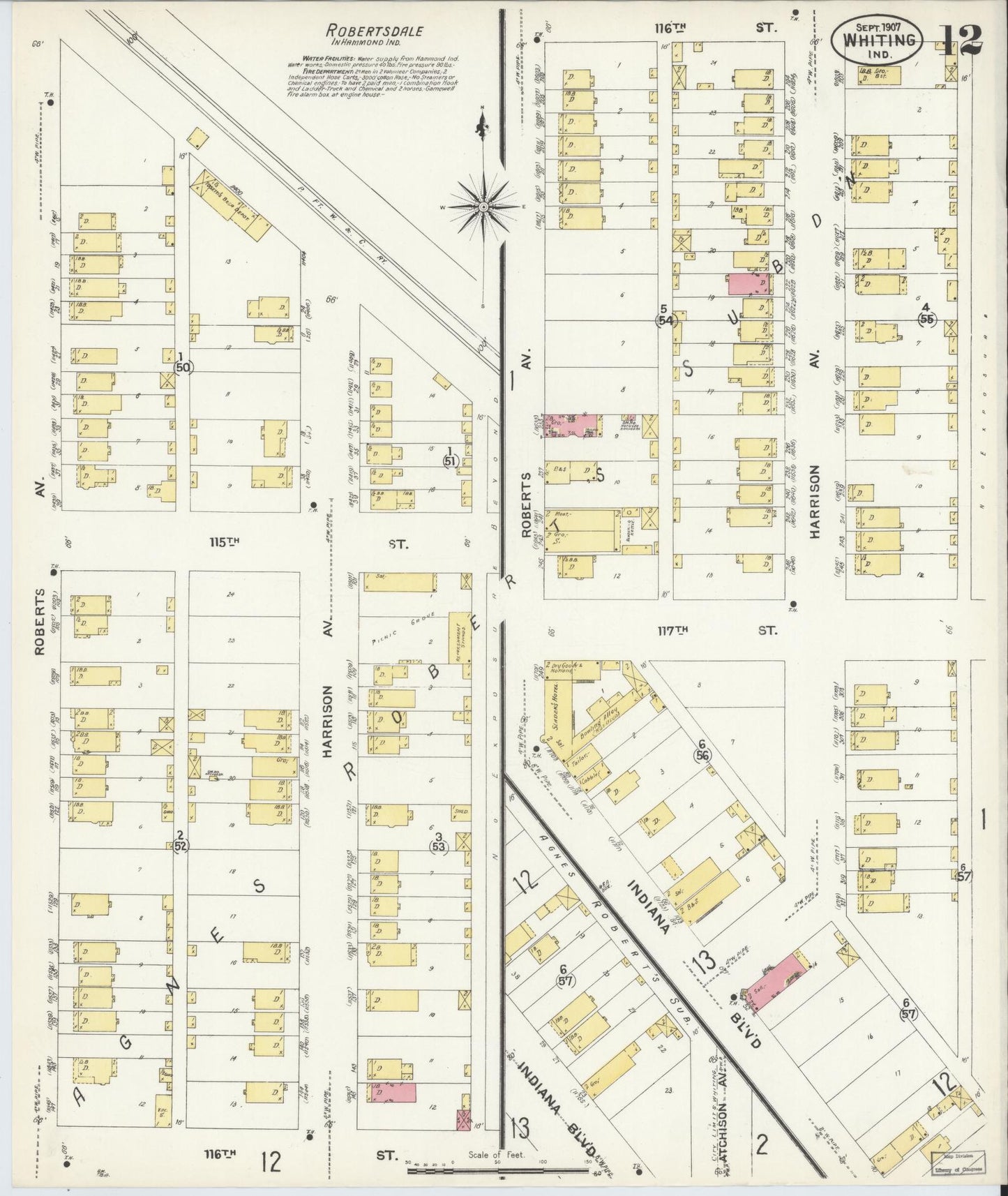 Sanborn Fire Insurance Map from Whiting, Lake County, Indiana (1907), Sheet #0012 - Historic Sanborn Fire Insurance Map Print, vintage old map wall art, antique decor, genealogy gift, Indiana Indiana map