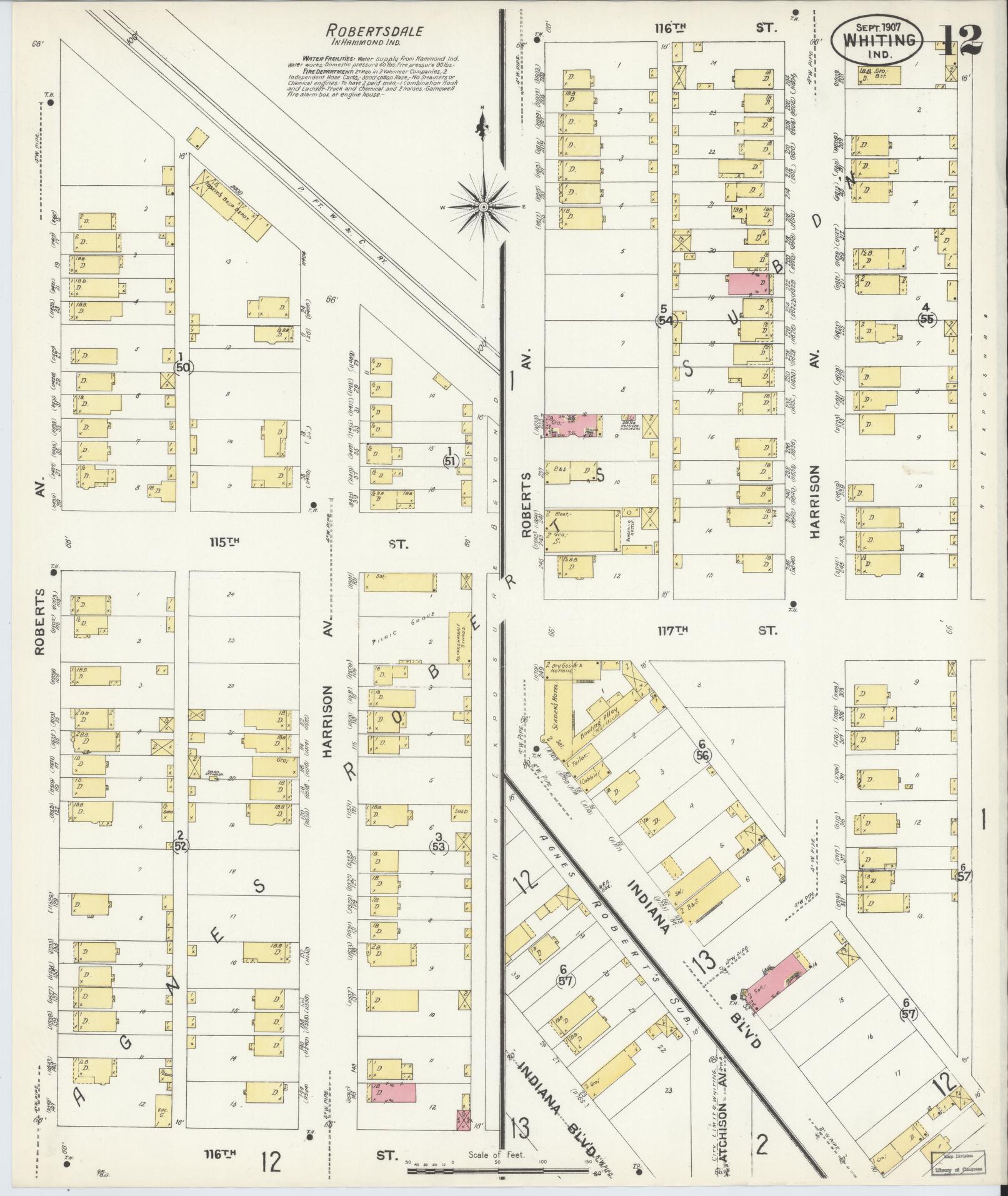 Sanborn Fire Insurance Map from Whiting, Lake County, Indiana (1907), Sheet #0012 - Historic Sanborn Fire Insurance Map Print, vintage old map wall art, antique decor, genealogy gift, Indiana Indiana map