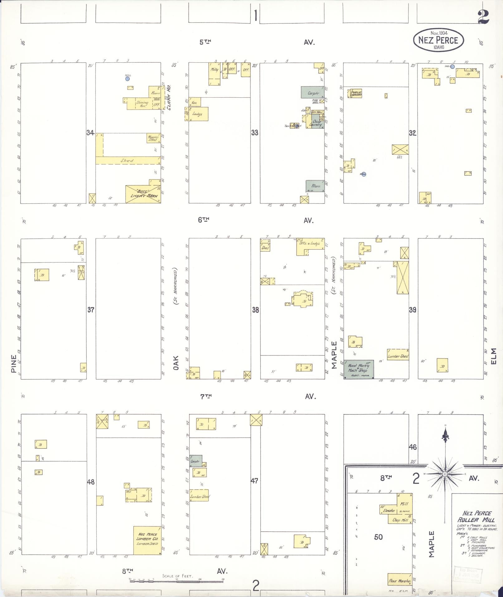 Sanborn Fire Insurance Map from Nez Perce, Lewis County, Idaho (1904), Sheet #0002 - Complete Map Set gallery image, historic Sanborn map, vintage wall art, Idaho Idaho