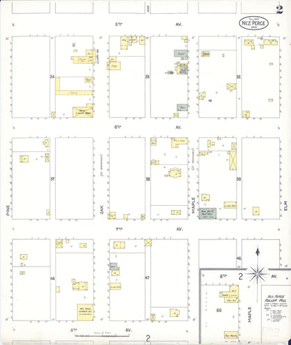 Sanborn Fire Insurance Map from Nez Perce, Lewis County, Idaho (1904), Sheet #0002 - Complete Map Set gallery image, historic Sanborn map, vintage wall art, Idaho Idaho
