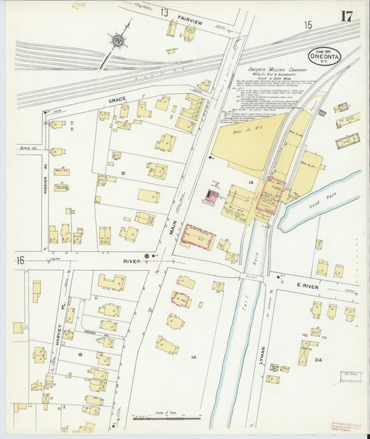 Sanborn Fire Insurance Map from Oneonta, Otsego County, New York (1910), Sheet #0017 - Historic Sanborn Fire Insurance Map Print, vintage old map wall art, antique decor, genealogy gift, New York New York map