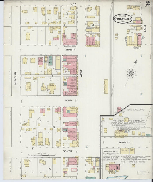 Sanborn Fire Insurance Map from Carbondale, Jackson County, Illinois (1893), Sheet #0002 - Historic Sanborn Fire Insurance Map Print, vintage old map wall art, antique decor, genealogy gift, Illinois Illinois map