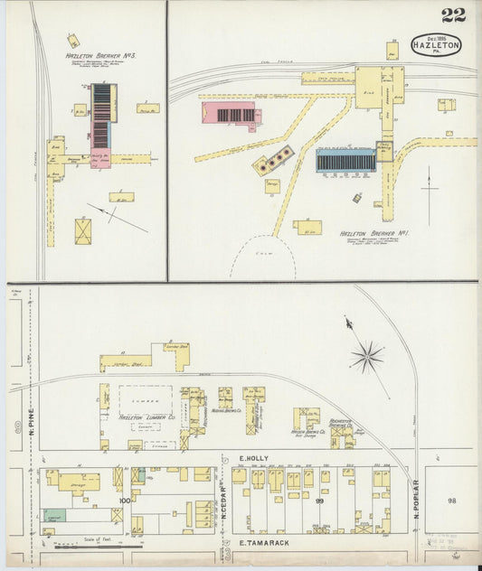 Sanborn Fire Insurance Map from Hazleton, Luzerne County, Pennsylvania (1895), Sheet #0022 - Historic Sanborn Fire Insurance Map Print, vintage old map wall art, antique decor, genealogy gift, Pennsylvania Pennsylvania map