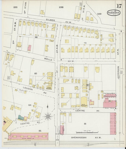 Sanborn Fire Insurance Map from Roanoke, Independent Cities, Virginia (1893), Sheet #0017 - Historic Sanborn Fire Insurance Map Print, vintage old map wall art, antique decor, genealogy gift, Virginia Virginia map