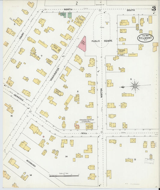Sanborn Fire Insurance Map from Belmont, Allegany County, New York (1904), Sheet #0003 - Historic Sanborn Fire Insurance Map Print, vintage old map wall art, antique decor, genealogy gift, New York New York map