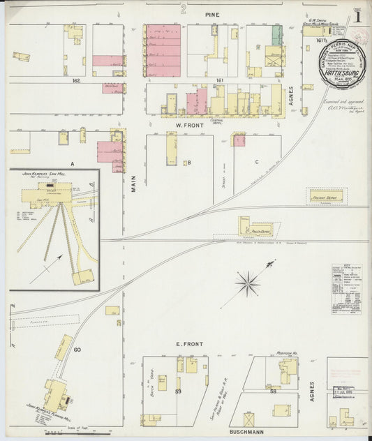 Sanborn Fire Insurance Map from Hattiesburg, Forrest County, Mississippi (1895), Sheet #0001 - Historic Sanborn Fire Insurance Map Print, vintage old map wall art, antique decor, genealogy gift, Mississippi Mississippi map