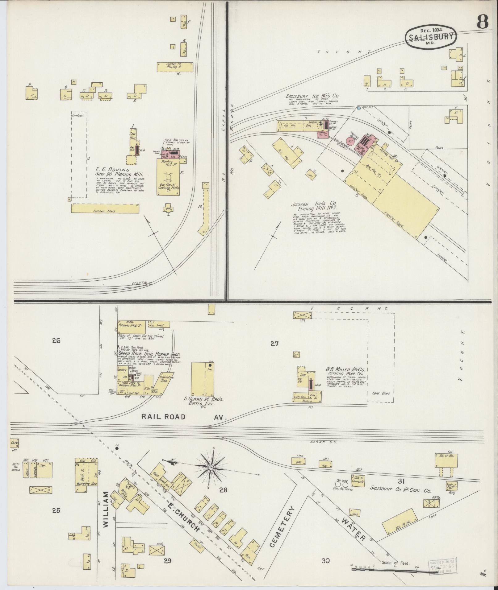 Sanborn Fire Insurance Map from Salisbury, Wicomico County, Maryland (1894), Sheet #0008 - Historic Sanborn Fire Insurance Map Print, vintage old map wall art