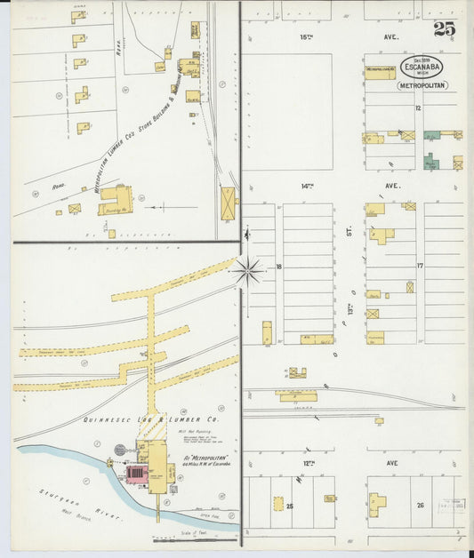 Sanborn Fire Insurance Map from Escanaba, Delta County, Michigan (1899), Sheet #0025 - Historic Sanborn Fire Insurance Map Print, vintage old map wall art, antique decor, genealogy gift, Michigan Michigan map