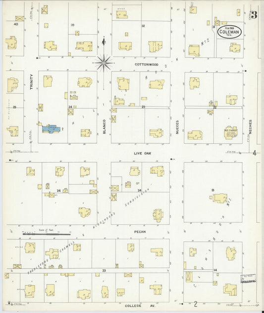 Sanborn Fire Insurance Map from Coleman, Coleman County, Texas (1909), Sheet #0003 - Historic Sanborn Fire Insurance Map Print, vintage old map wall art, antique decor, genealogy gift, Texas Texas map