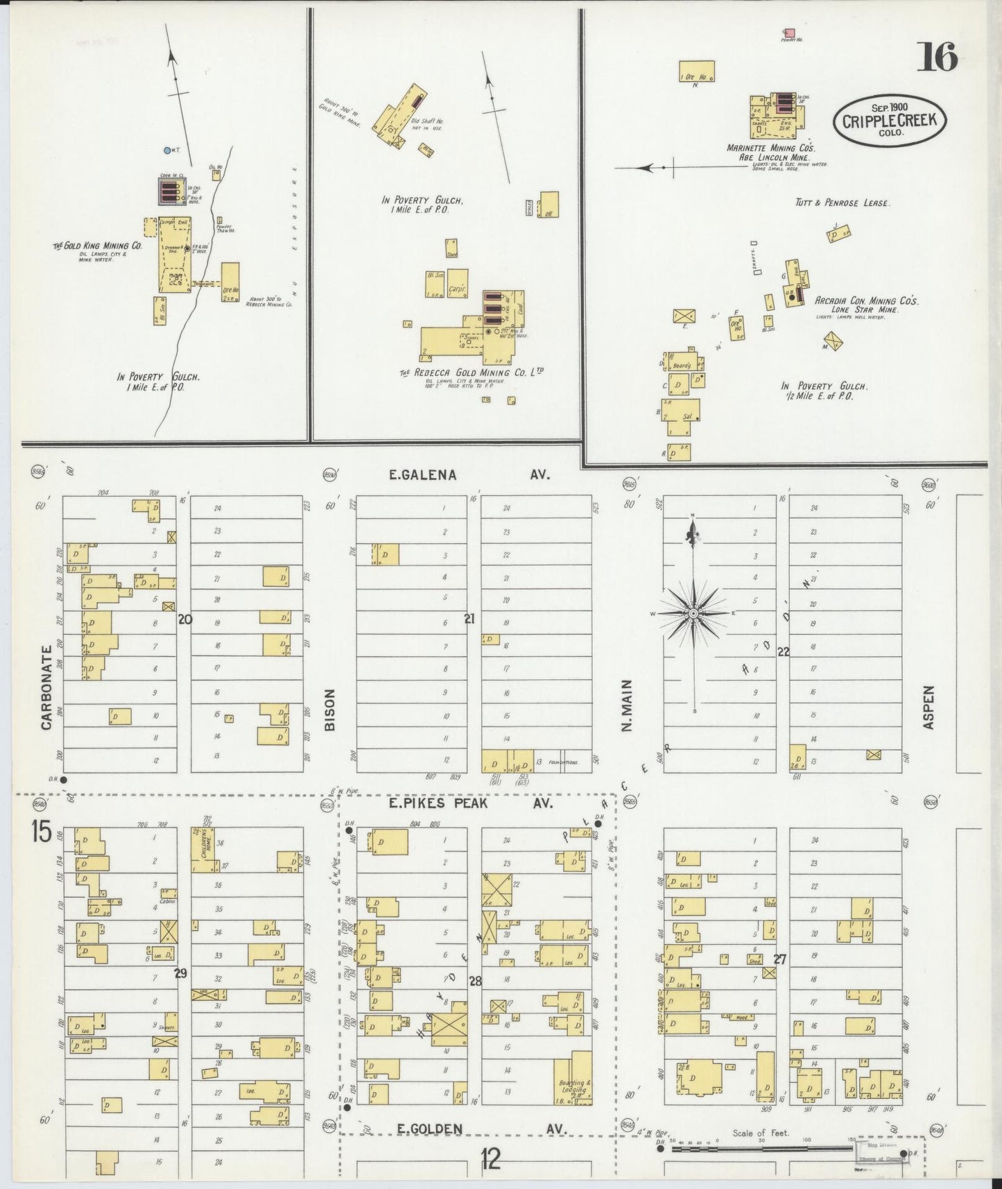 Sanborn Fire Insurance Map from Cripple Creek, Teller County, Colorado (1900), Sheet #0016 - Complete Map Set gallery image, historic Sanborn map, vintage wall art, Colorado Colorado