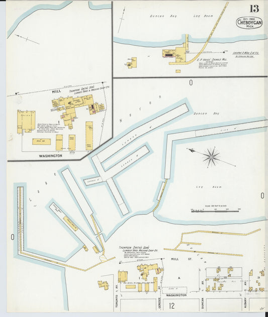 Sanborn Fire Insurance Map from Cheboygan, Cheboygan County, Michigan (1900), Sheet #0013 - Historic Sanborn Fire Insurance Map Print, vintage old map wall art, antique decor, genealogy gift, Michigan Michigan map