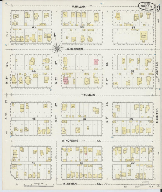 Sanborn Fire Insurance Map from Aspen, Pitkin County, Colorado (1890), Sheet #0003 - Historic Sanborn Fire Insurance Map Print, vintage old map wall art, antique decor, genealogy gift, Colorado Colorado map