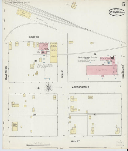 Sanborn Fire Insurance Map from Union Springs, Bullock County, Alabama (1891), Sheet #0005 - Complete Map Set gallery image, historic Sanborn map, vintage wall art, Alabama Alabama