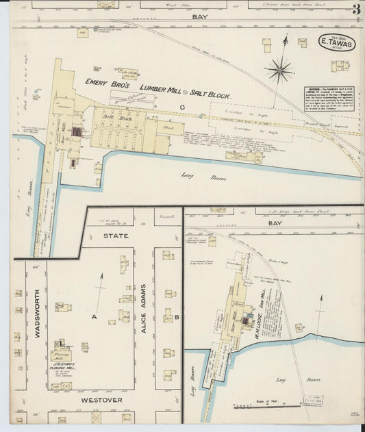 Sanborn Fire Insurance Map from East Tawas, Iosco County, Michigan (1884), Sheet #0003 - Historic Sanborn Fire Insurance Map Print, vintage old map wall art, antique decor, genealogy gift, Michigan Michigan map