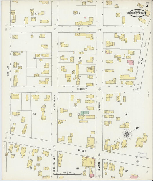 Sanborn Fire Insurance Map from Carthage, Jefferson County, New York (1895), Sheet #0007 - Historic Sanborn Fire Insurance Map Print, vintage old map wall art, antique decor, genealogy gift, New York New York map