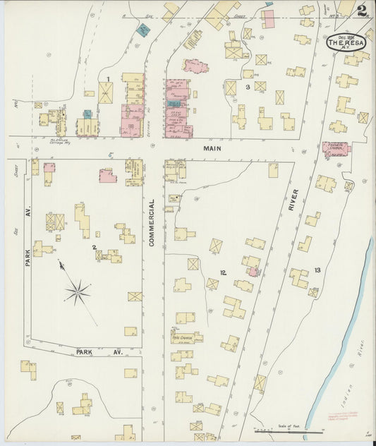 Sanborn Fire Insurance Map from Theresa, Jefferson County, New York (1891), Sheet #0002 - Historic Sanborn Fire Insurance Map Print, vintage old map wall art, antique decor, genealogy gift, New York New York map