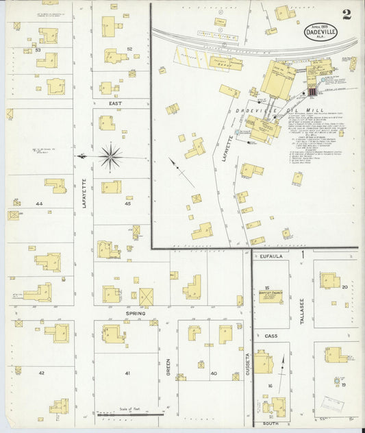 Sanborn Fire Insurance Map from Dadeville, Tallapoosa County, Alabama (1909), Sheet #0002 - Historic Sanborn Fire Insurance Map Print, vintage old map wall art, antique decor, genealogy gift, Alabama Alabama map