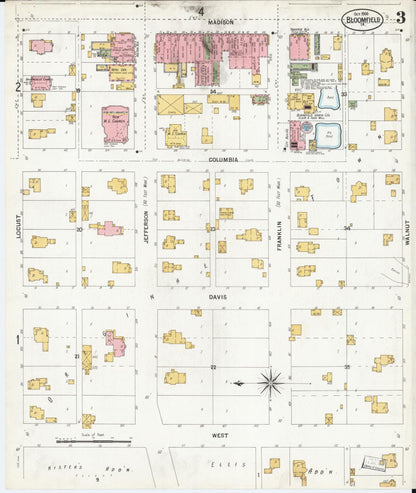 Sanborn Fire Insurance Map from Bloomfield, Davis County, Iowa (1900), Sheet #0003 - Historic Sanborn Fire Insurance Map Print
