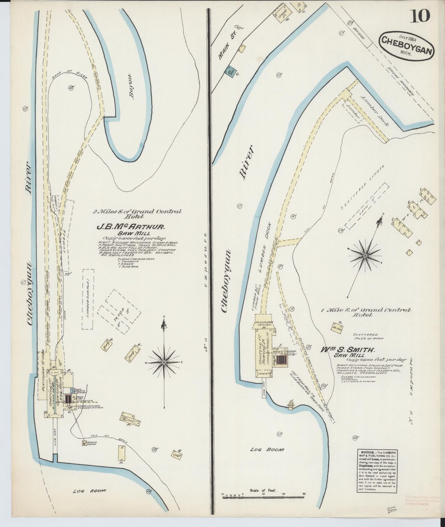Sanborn Fire Insurance Map from Cheboygan, Cheboygan County, Michigan (1884), Sheet #0010 - Historic Sanborn Fire Insurance Map Print, vintage old map wall art, antique decor, genealogy gift, Michigan Michigan map
