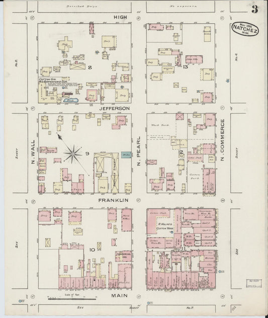 Sanborn Fire Insurance Map from Natchez, Adams County, Mississippi (1886), Sheet #0003 - Historic Sanborn Fire Insurance Map Print, vintage old map wall art, antique decor, genealogy gift, Mississippi Mississippi map