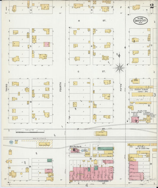 Sanborn Fire Insurance Map from David City, Butler County, Nebraska (1899), Sheet #0002 - Historic Sanborn Fire Insurance Map Print, vintage old map wall art, antique decor, genealogy gift, Nebraska Nebraska map