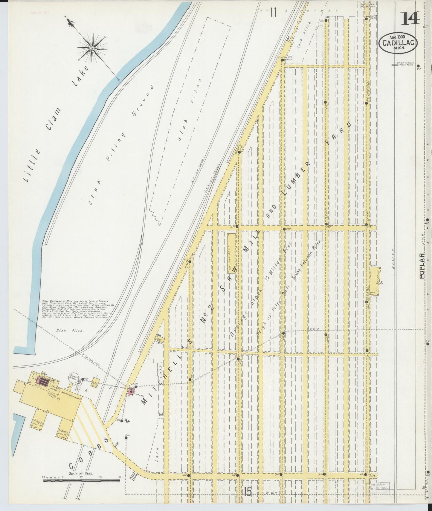 Sanborn Fire Insurance Map from Cadillac, Wexford County, Michigan (1900), Sheet #0014 - Historic Sanborn Fire Insurance Map Print, vintage old map wall art, antique decor, genealogy gift, Michigan Michigan map