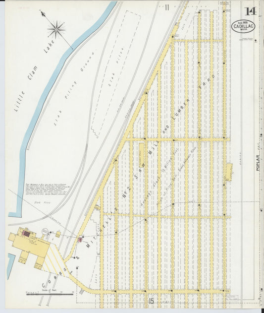 Sanborn Fire Insurance Map from Cadillac, Wexford County, Michigan (1900), Sheet #0014 - Historic Sanborn Fire Insurance Map Print, vintage old map wall art, antique decor, genealogy gift, Michigan Michigan map