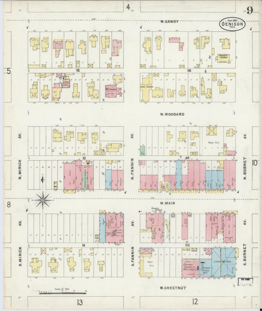 Sanborn Fire Insurance Map from Denison, Grayson County, Texas (1897), Sheet #0009 - Historic Sanborn Fire Insurance Map Print, vintage old map wall art, antique decor, genealogy gift, Texas Texas map