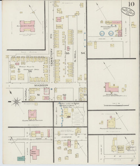 Sanborn Fire Insurance Map from Natchez, Adams County, Mississippi (1886), Sheet #0010 - Historic Sanborn Fire Insurance Map Print, vintage old map wall art, antique decor, genealogy gift, Mississippi Mississippi map