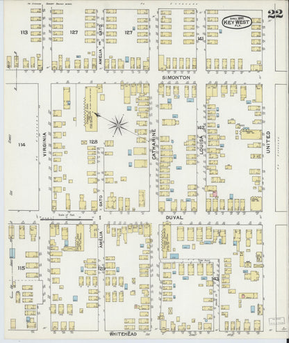 Sanborn Fire Insurance Map from Key West, Monroe County, Florida (1892), Sheet #0022 - Historic Sanborn Fire Insurance Map Print, vintage old map wall art, antique decor, genealogy gift, Florida Florida map