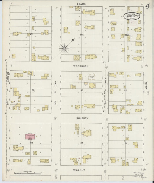 Sanborn Fire Insurance Map from Lake City, Wabasha County, Minnesota (1894), Sheet #0004 - Historic Sanborn Fire Insurance Map Print, vintage old map wall art, antique decor, genealogy gift, Minnesota Minnesota map