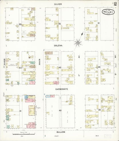 Sanborn Fire Insurance Map from Hailey, Blaine County, Idaho (1890), Sheet #0002 - Complete Map Set gallery image, historic Sanborn map, vintage wall art, Idaho Idaho