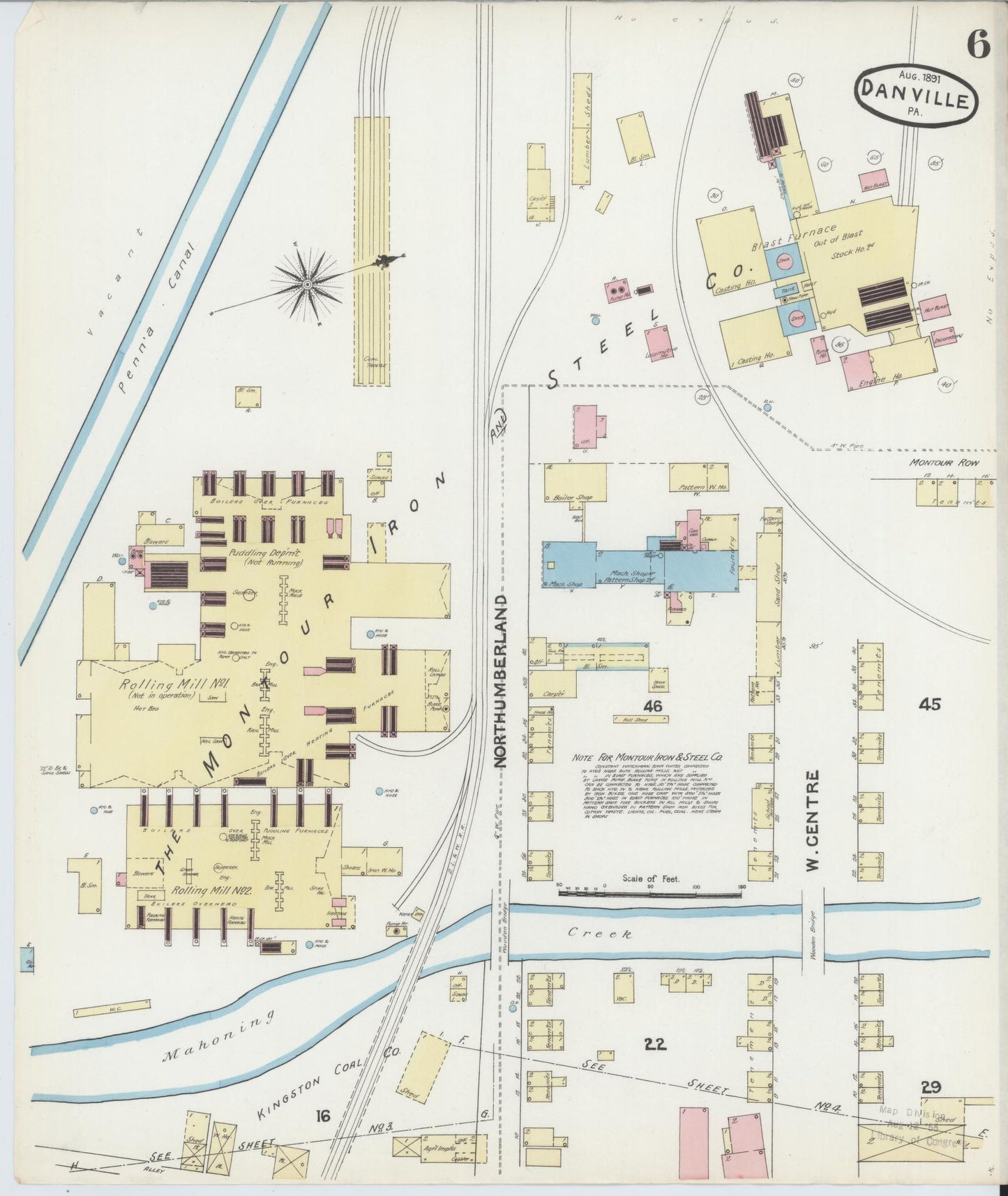 Sanborn Fire Insurance Map from Danville, Montour County, Pennsylvania (1891), Sheet #0006 - Historic Sanborn Fire Insurance Map Print, vintage old map wall art, antique decor, genealogy gift, Pennsylvania Pennsylvania map