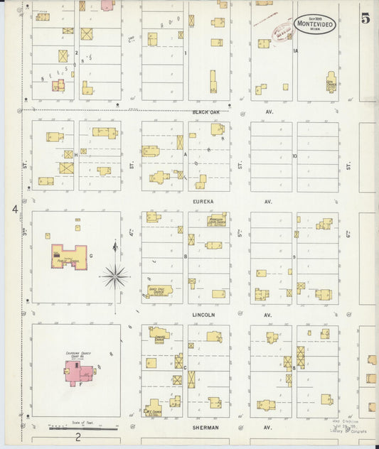 Sanborn Fire Insurance Map from Montevideo, Chippewa County, Minnesota (1899), Sheet #0005 - Historic Sanborn Fire Insurance Map Print, vintage old map wall art, antique decor, genealogy gift, Minnesota Minnesota map
