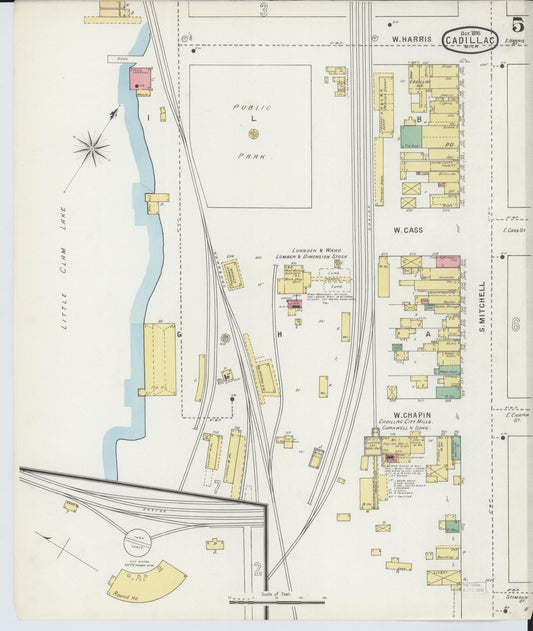 Sanborn Fire Insurance Map from Cadillac, Wexford County, Michigan (1895), Sheet #0005 - Historic Sanborn Fire Insurance Map Print, vintage old map wall art, antique decor, genealogy gift, Michigan Michigan map