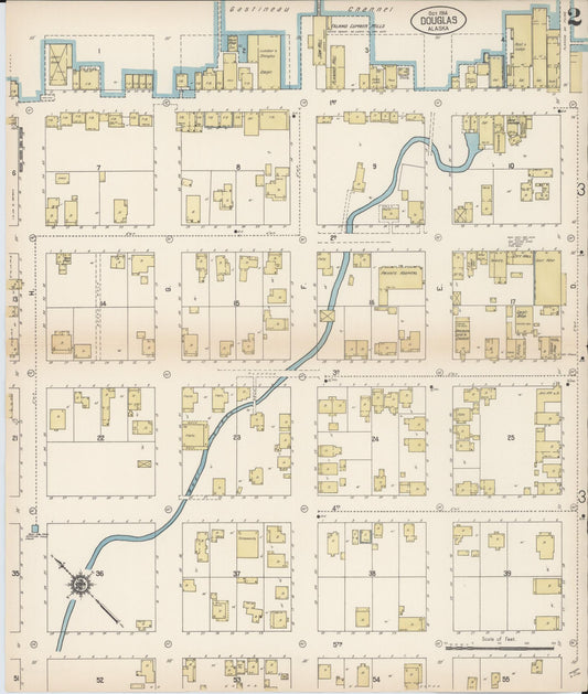 Sanborn Fire Insurance Map from Douglas, Juneau Census Division, Alaska (1914), Sheet #0002 - Historic Sanborn Fire Insurance Map Print, vintage old map wall art, antique decor, genealogy gift, Alaska Alaska map