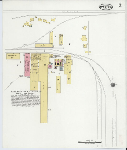 Sanborn Fire Insurance Map from Manistique, Schoolcraft County, Michigan (1920), Sheet #0003 - Historic Sanborn Fire Insurance Map Print, vintage old map wall art, antique decor, genealogy gift, Michigan Michigan map