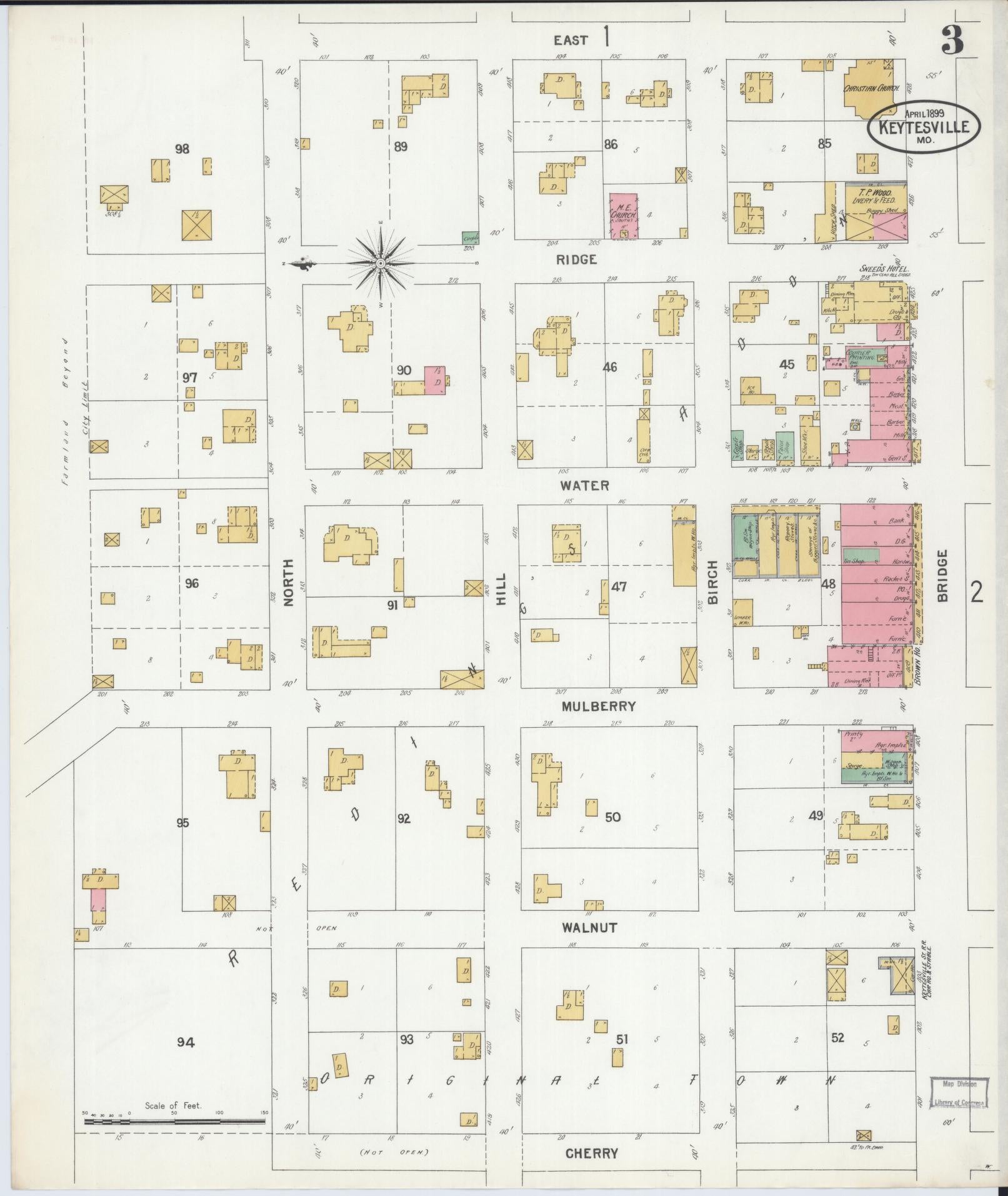 Sanborn Fire Insurance Map from Keytesville, Chariton County, Missouri (1899), Sheet #0003 - Historic Sanborn Fire Insurance Map Print, vintage old map wall art, antique decor, genealogy gift, Missouri Missouri map