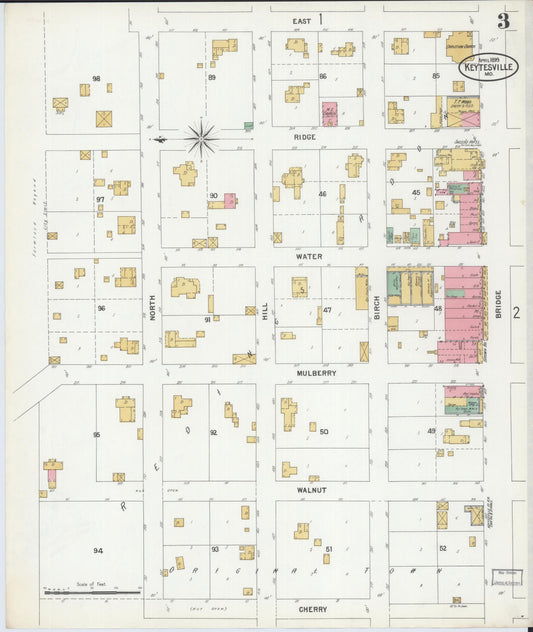 Sanborn Fire Insurance Map from Keytesville, Chariton County, Missouri (1899), Sheet #0003 - Historic Sanborn Fire Insurance Map Print, vintage old map wall art, antique decor, genealogy gift, Missouri Missouri map