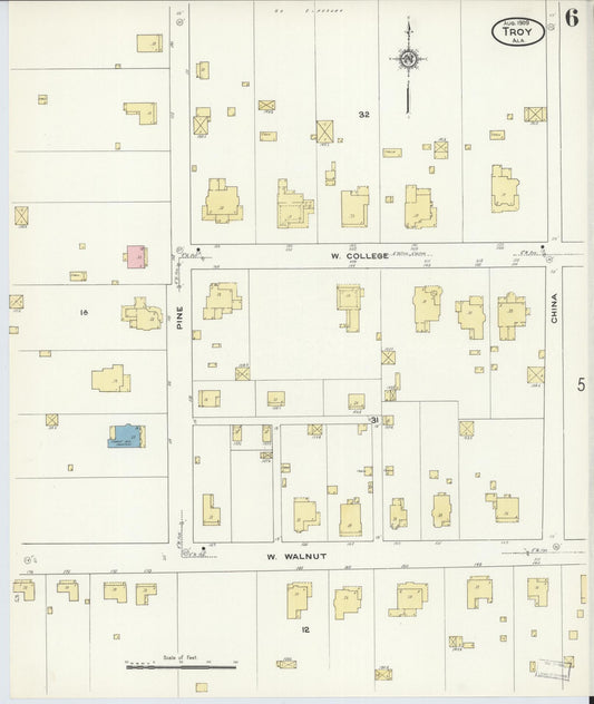 Sanborn Fire Insurance Map from Troy, Pike County, Alabama (1909), Sheet #0006 - Historic Sanborn Fire Insurance Map Print, vintage old map wall art, antique decor, genealogy gift, Alabama Alabama map